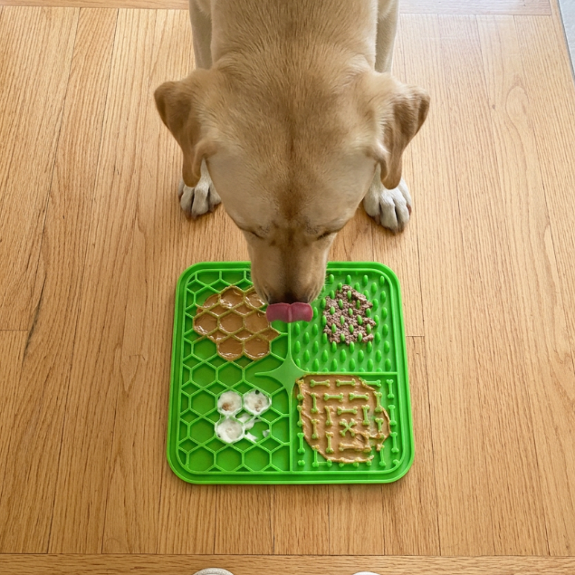 Zenpaw™ Calm Dog Mat