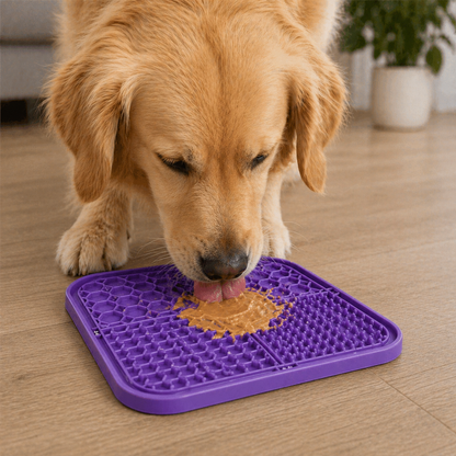Zenpaw™ Calm Dog Mat